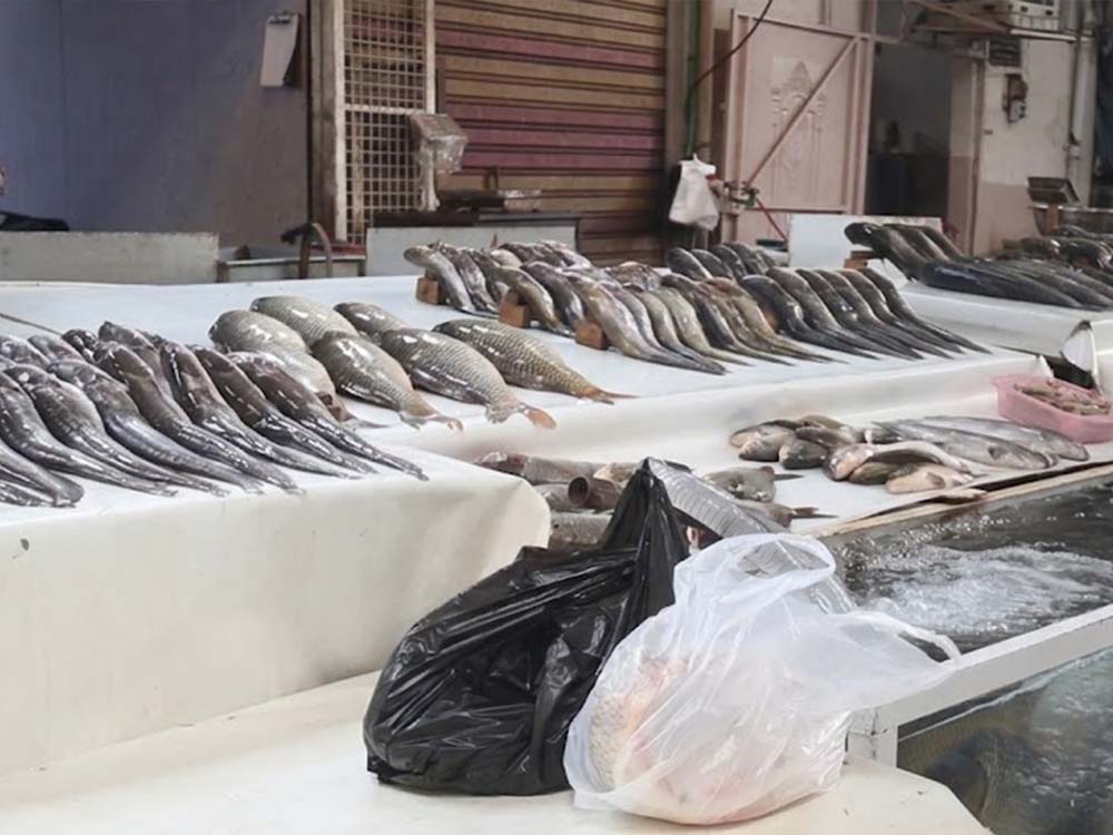 أسماك معروضة للبيع في سوق السمك التاريخي بمنطقة الميدان في الموصل القديمة وسط تراجع حركة التسوق