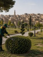 عامل من كوادر بلدية الموصل يقوم بتشذيب إحدى الشجيرات داخل الغابة الشمالية، وسط مساحات خضراء واسعة وممرات منظمة، مع ظهور أفق مدينة الموصل في الخلفية.